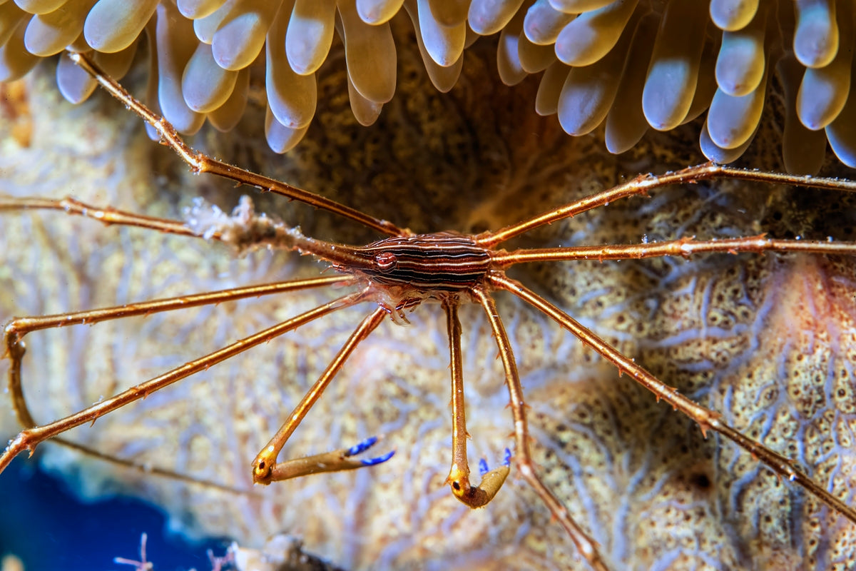 2304815 :: Giclée Fine Art Matte Paper Print